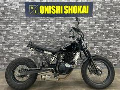 ヤマハ　ＴＷ２２５Ｅ　社外マフラー　ロンスイ仕様　社外オイルクーラー　スカチューン