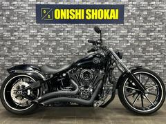 ＨＡＲＬＥＹ−ＤＡＶＩＤＳＯＮ　ＦＸＳＢ　ブレイクアウト　バンス＆ハインズマフラー　アレンネスエアクリ　ランブータンシート
