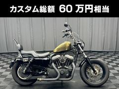 ＨＡＲＬＥＹ−ＤＡＶＩＤＳＯＮ　ＸＬ１２００Ｘ　フォーティエイト　ゴールドフレーク　ＵＰハンドル　タンクＵＰ　マフラー　ＲＳＤエアクリ　タンデム仕様　ＥＴＣ他多数