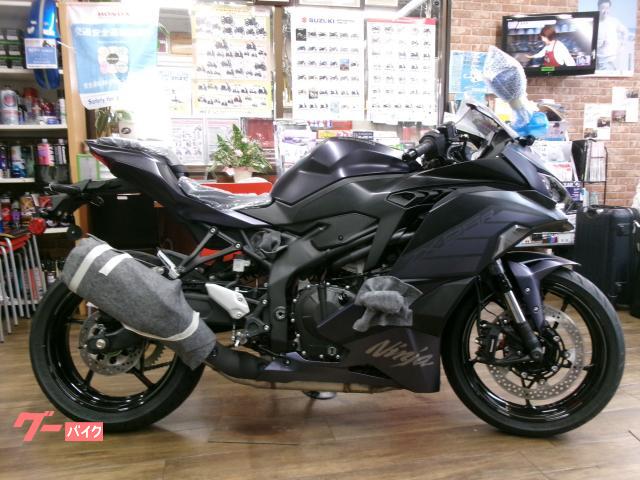 Ｎｉｎｊａ　ＺＸ−２５Ｒ　ＳＥ