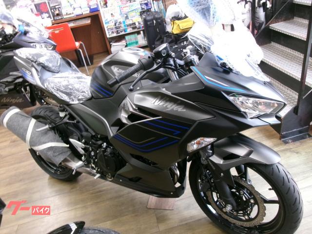 Ｎｉｎｊａ　４００