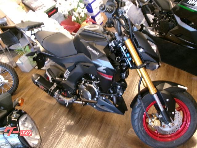 Ｚ１２５ＰＲＯ