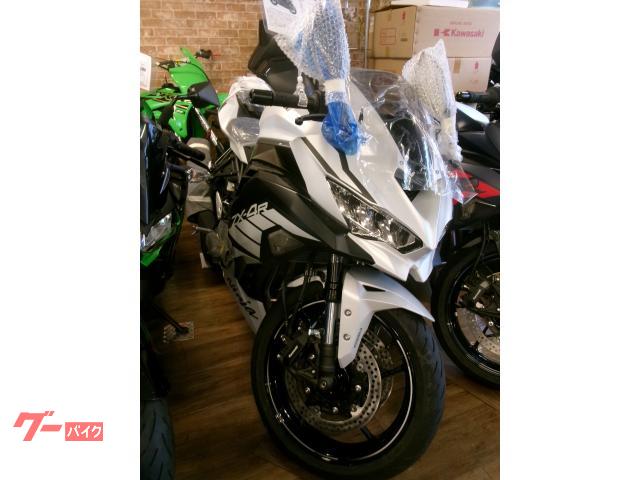 みみ❀　0820 Amazon | 【SUKIRACING】バイクミラーZX-14R/ZZR-1400 2006-2011