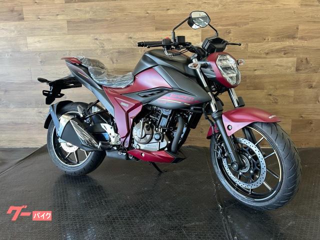 ＧＩＸＸＥＲ　２５０