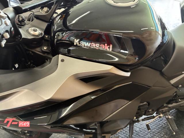 Kawasaki Ninja 1000 SX ETC/ — миниатюра 5