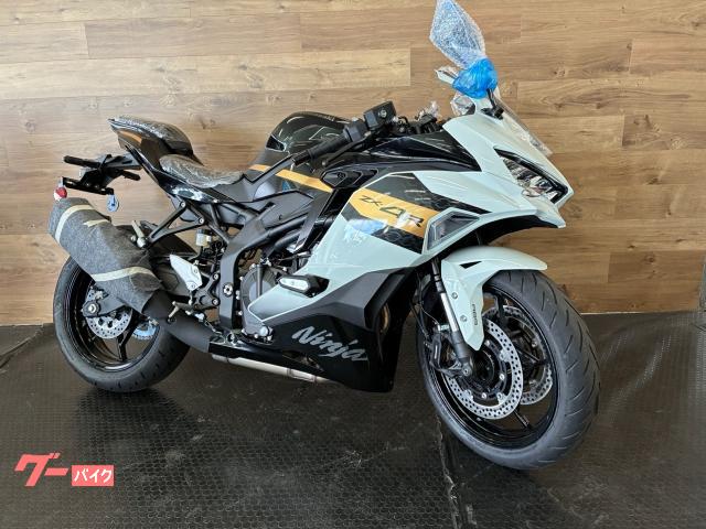 Ｎｉｎｊａ　ＺＸ−４Ｒ　ＳＥ