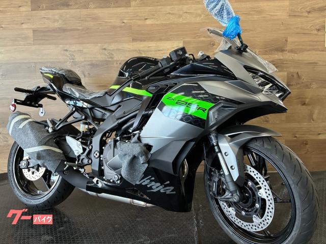 Ｎｉｎｊａ　ＺＸ−２５Ｒ　ＳＥ