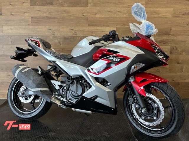 Ｎｉｎｊａ　２５０