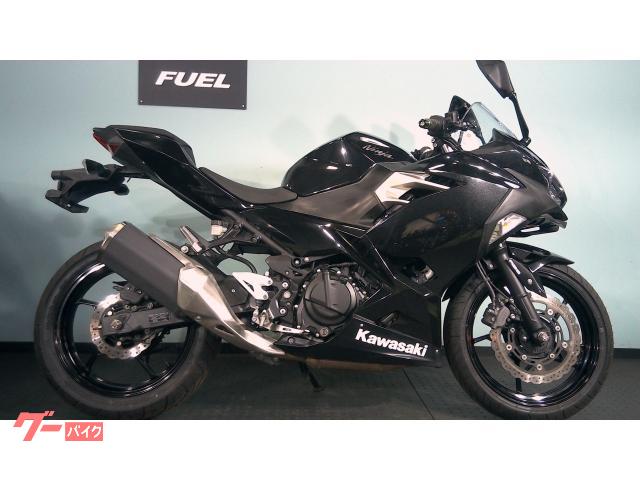 Ｎｉｎｊａ　２５０　ＥＸ２５０Ｐ