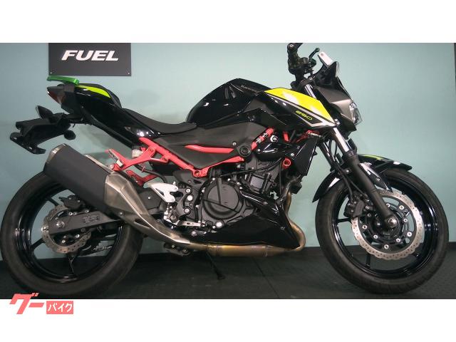 Ｚ２５０　ＥＸ２５０Ｐ　ＡＢＳ　ＵＳＢ