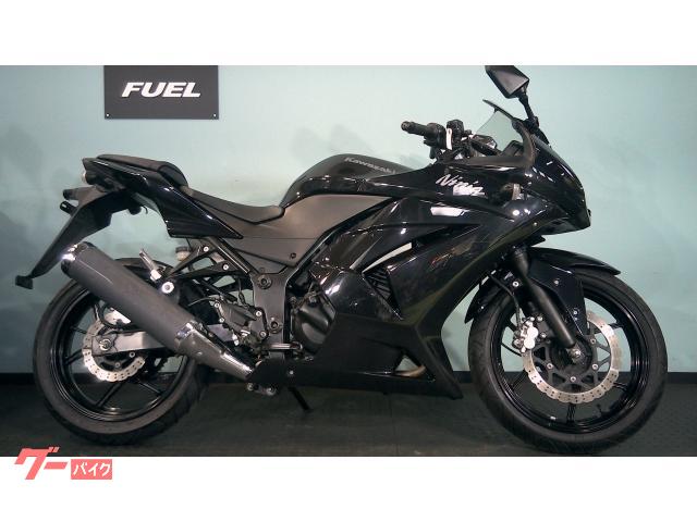 Ｎｉｎｊａ　２５０Ｒ　ＥＸ２５０Ｋ　ノーマル　マルチバー