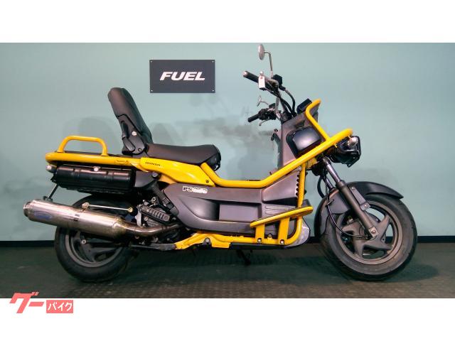 ＰＳ２５０　ＭＦ０９型　スポーツラインマフラー　フェンダーレス　マルチバー