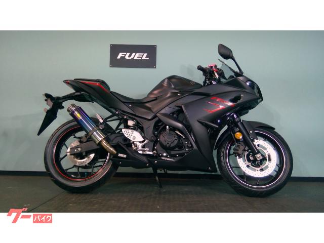 ＹＺＦ−Ｒ２５　ＲＧ１０Ｊ型　リアライズマフラー　マルチバー　ＵＳＢ