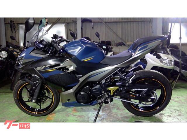 ノンFシェイプＥＸ250g Amazon.co.jp: フューエルインジェクター オートバイ燃料