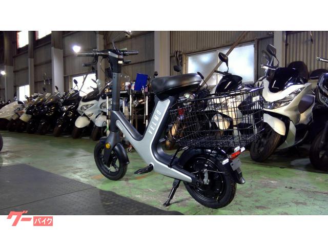 兵庫県尼崎市発送不可 ウエルビー フィオレオ 20インチ 中古 兵庫県