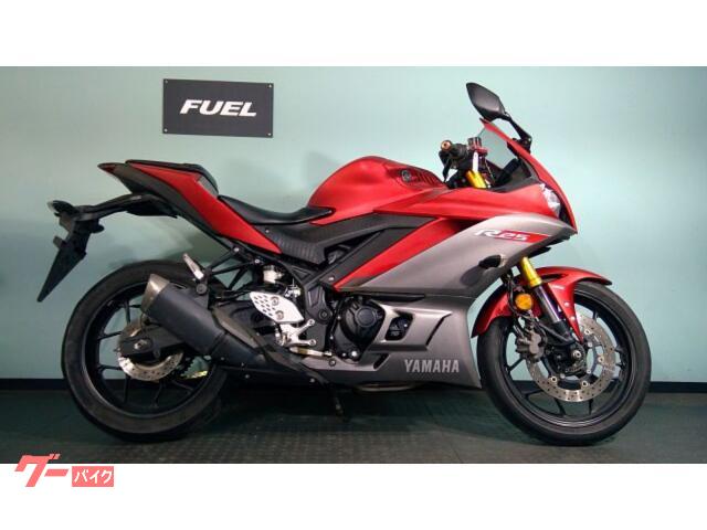 ＹＺＦ−Ｒ２５　ヘルメットホルダー　カスタムレバー