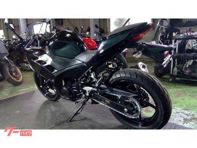 カワサキ Ninja 250 EX250P ABS｜FUEL