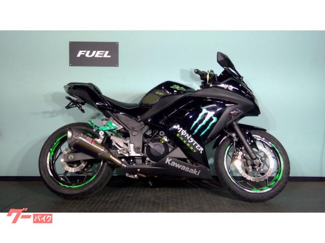 Ｎｉｎｊａ　２５０　ＥＸ２５０Ｌ　カスタム
