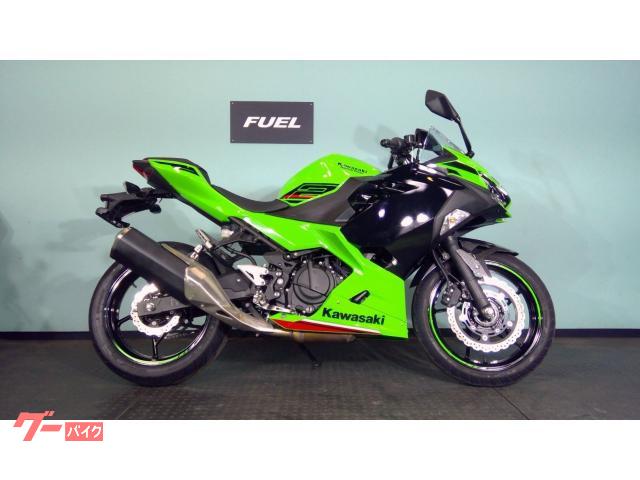 Ｎｉｎｊａ　２５０　ＥＸ２５０Ｙ　ＡＢＳ　ノーマル　マルチバー