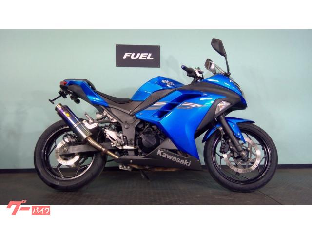 Ｎｉｎｊａ　２５０　ＥＸ２５０Ｌ　社外マフラー　フェンダーレス　アジャスター付きレバー