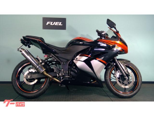 Ｎｉｎｊａ　２５０Ｒ　ＥＴＣ　ＢＥＡＭＳマフラー　シフトインジケーター