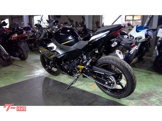 カワサキ Ninja 250 EX250P ABS グリップヒーター