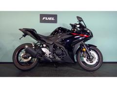 ヤマハ　ＹＺＦ−Ｒ２５　ＲＧ１０Ｊ　フェンダーレス　マルチバー