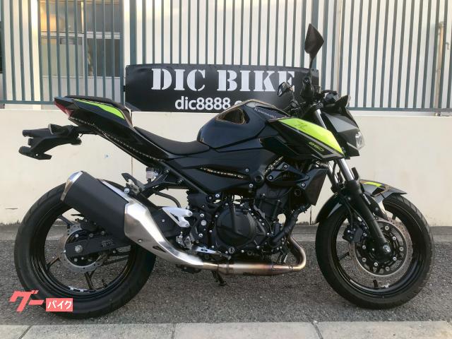 Ｚ２５０　ＥＸ２５０Ｐ型　２０２２年モデル　ＡＢＳ　ワンオーナー車　日本正規仕様車　ＵＳＢ電源付き　ＬＥＤ電飾付き