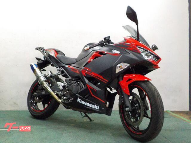 Ｎｉｎｊａ　２５０　ＥＴＣ２．０　２０１８年モデル　リヤキャリア　スクリーンカスタム　純正スペアキー