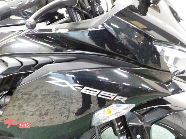 新型マイルダー Webike | ENDURANCE エンデュランス マルチバー Ninja ZX-25R