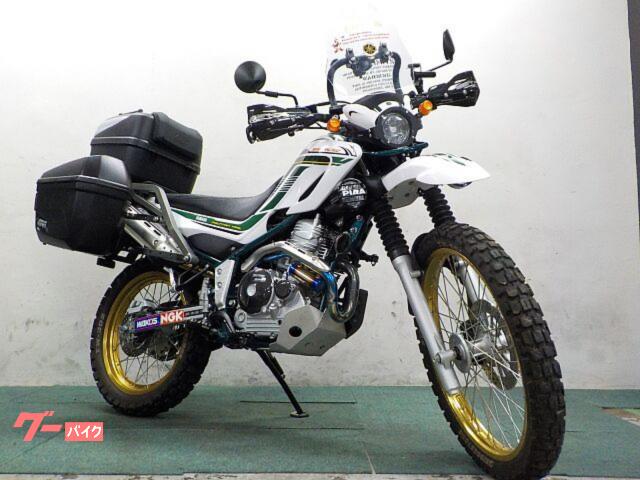 セロー２５０　２０２０年ファイナルモデル　ワンオーナー　ジビ製３点パニア　ＰＩＡＡフォグランプ　ＥＴＣ　マフラーカスタム　カスタム
