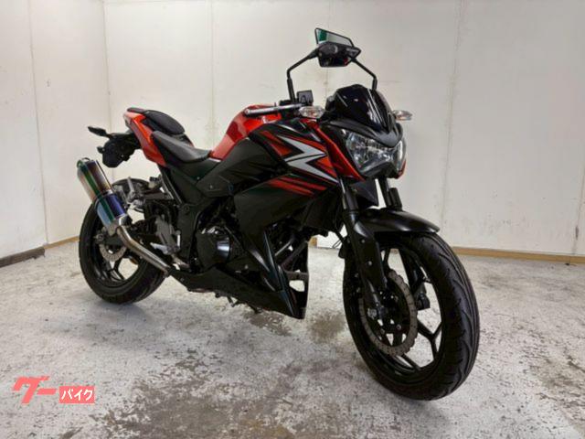 Z250 アールズギア・スリップオンマフラー ハンドル・グリップ カスタム ゴールドスポロケ