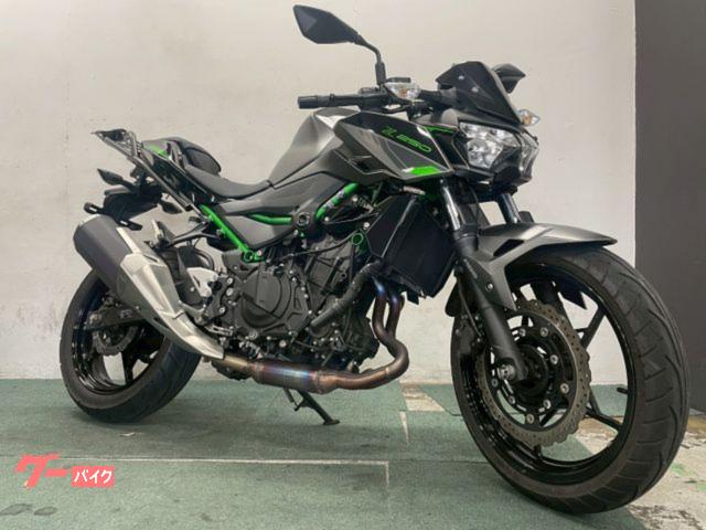 Z250 2024年モデル リアキャリア ABS ETC2.0 LEDヘッドライト テールランプ ギヤポジションインジケーター