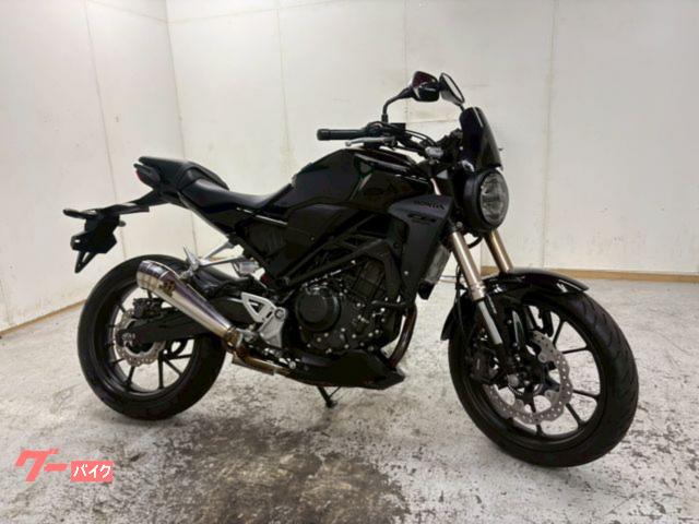 CB250R ETC2.0 フルエキSP忠雄マフラー ショートスクリーン ラジエターガード ヘルメットホルダー LEDヘッドライト