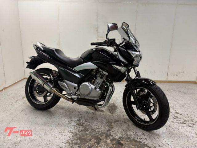 ＧＳＲ２５０　ＢＭＳーＲマフラー　メーターバイザー　可変レバー　エンジン・スライダー　カスタム・ウインカー