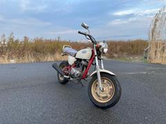 ホンダ　Ａｐｅ　スパークプラグ新品　オイル新品