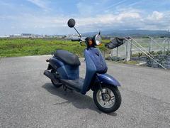 トゥデイ(ホンダ) ブラウン系・茶色のバイク一覧｜新車・中古バイク
