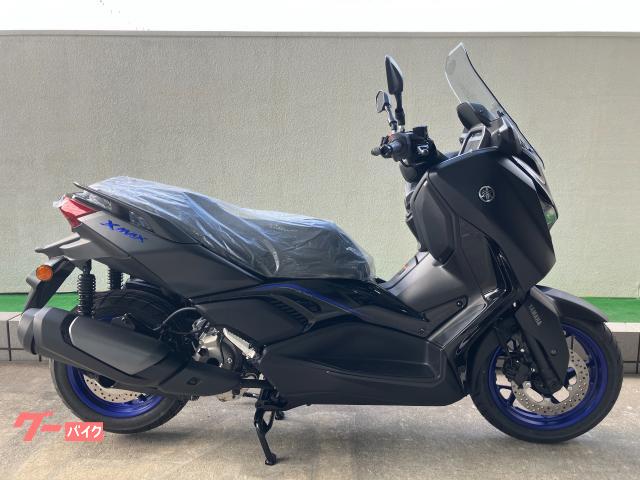 Ｘ−ＭＡＸ２５０　電動スクリーン