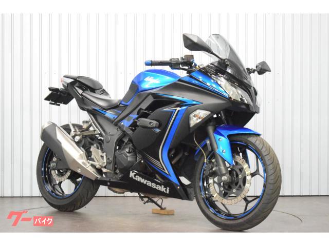 Ｎｉｎｊａ　２５０　２０１５年モデル　スライダー付き