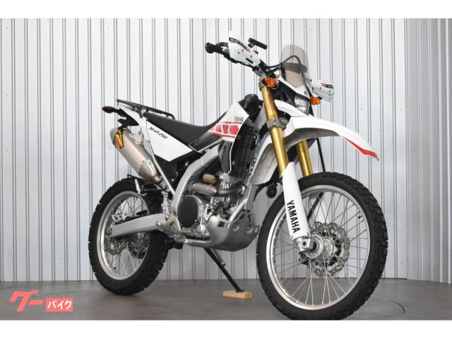 ＷＲ２５０Ｒ　ＰＯＷＥＲ　ＢＯＸ　ＦＭＦマフラー　スクリーン　キャリア　オプション多数