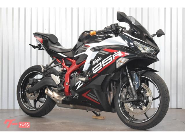 Ｎｉｎｊａ　ＺＸ−２５Ｒ　クイックシフター装備　フェンダーレス　ＵＳＢ付き