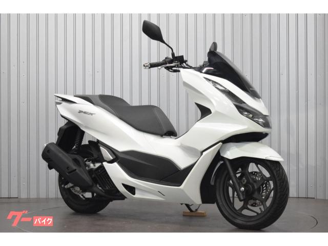 ＰＣＸ　２０２５年モデル　ホワイト　ノーマル