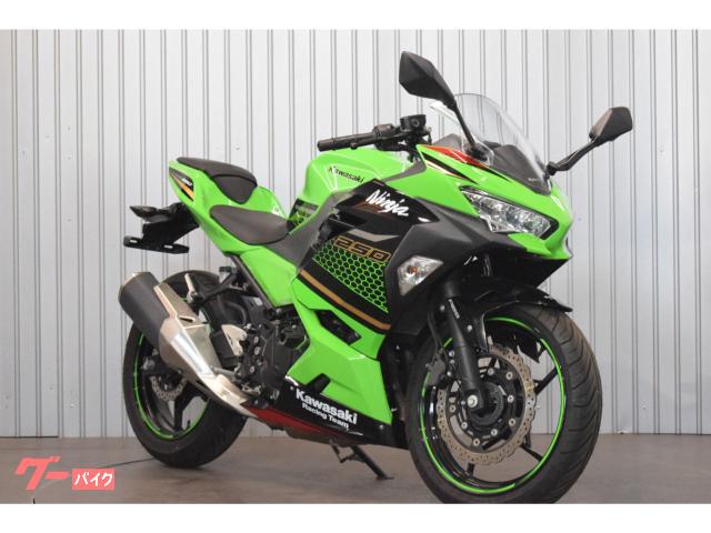 Ｎｉｎｊａ　２５０