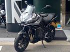 タイガースポーツ800 2025年新型モデル クルーズコントロール 純正オプションナックルガード付