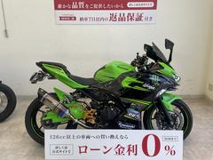 カワサキ　Ｎｉｎｊａ　２５０　２０１８年モデル　ストライカーサイレンサー　フェンダーレス　エンジンスライダー　バックステップ　スクリーン