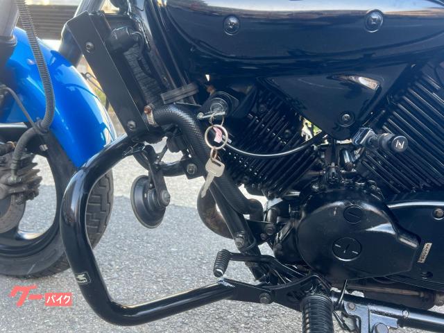 カワサキ エリミネーター250V エンジンガード バックレスト｜株式