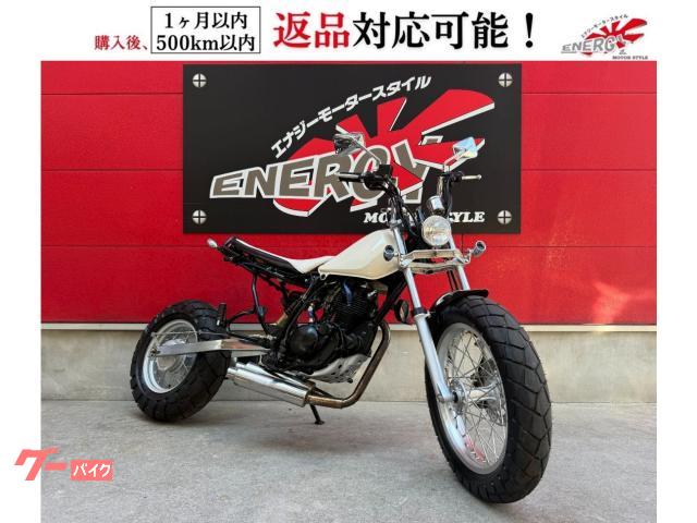 ＴＷ２２５Ｅ　空冷４ストロークＳＯＨＣ２バルブ単気筒エンジン　カスタム車両　セル・キック併用式　フロントディスクブレーキモデル