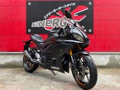 ヤマハ　ＹＺＦ−Ｒ２５　ＲＧ４３Ｊ型　倒立フォーク　社外レバー　マウントバー　社外マフラー　ＵＳＢ付き