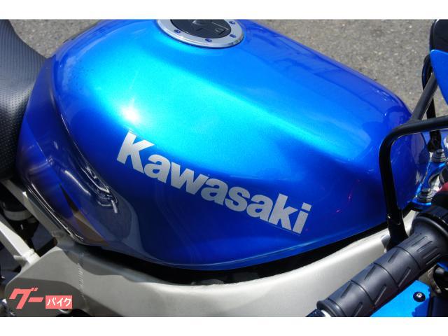 カワサキ Ｎｉｎｊａ ＺＸ－９Ｒ １９９９年モデル ＺＸ９００Ｃ 