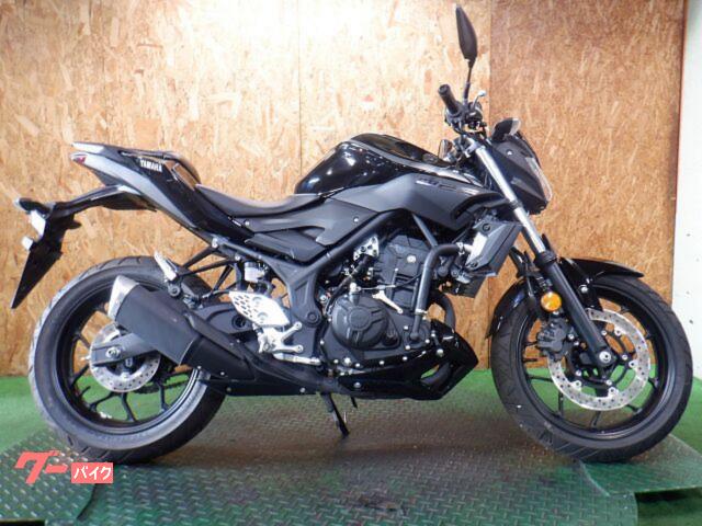ＭＴ−２５　２０１８年ＲＧ４３Ｊモデル　フルノーマル車両
